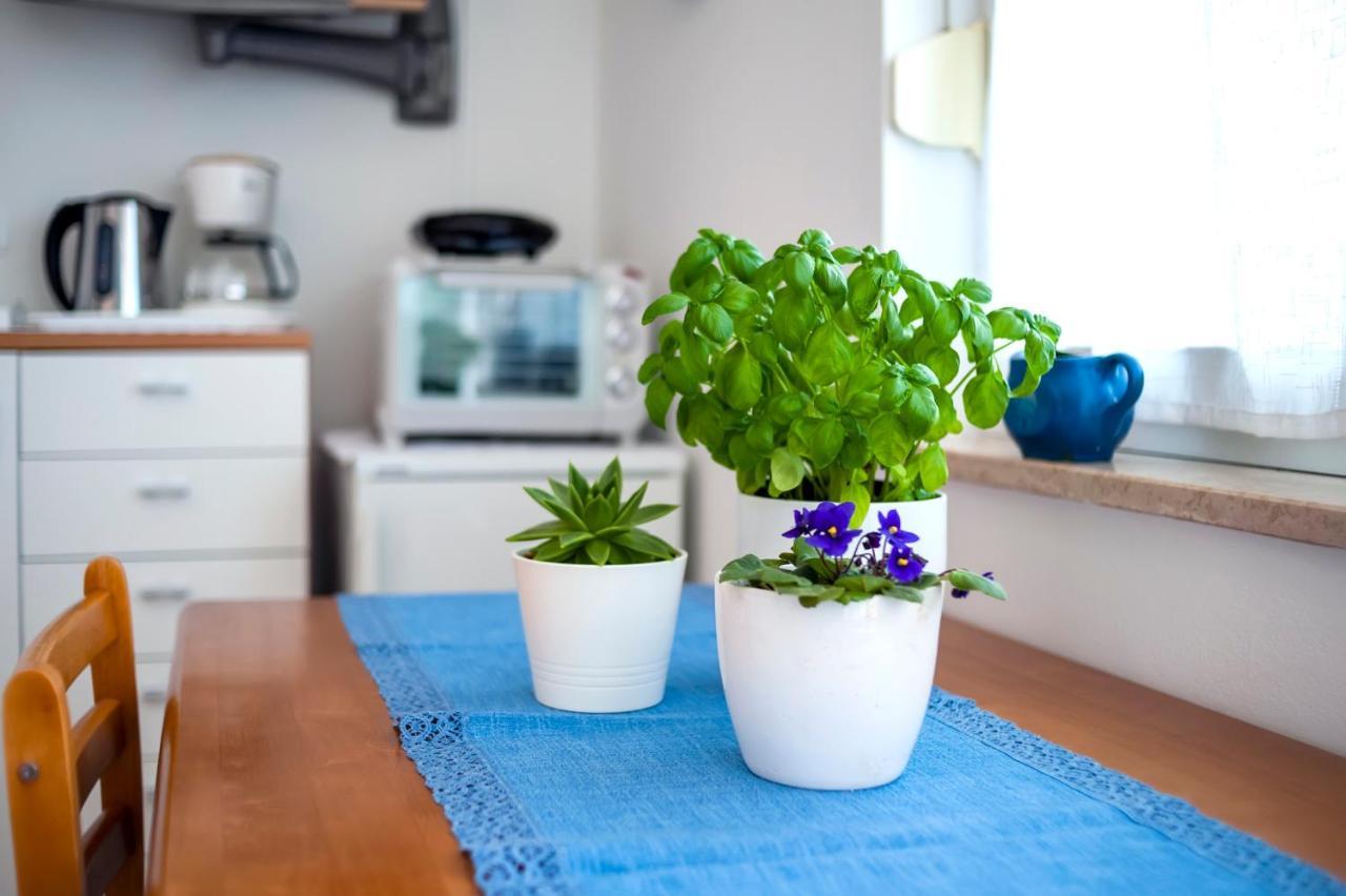 Apartment Casa Banko โรวีน ภายนอก รูปภาพ